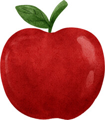 Red apple watercolor illustration © abcvector