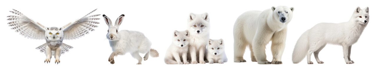 White wildlife animal png cut out element set