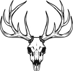 Illustration of deer skull in black and white style.
