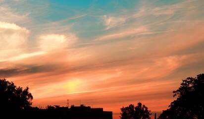 Silhouetted trees against a vibrant sunset sky