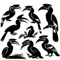 set of hornbill © Koko