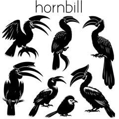 Set of hornbill © Koko