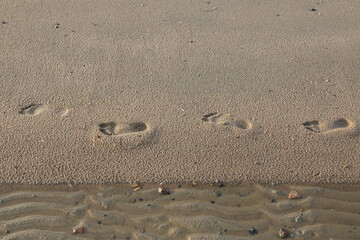 Spuren im Sand nach Spaziergang am Meer
