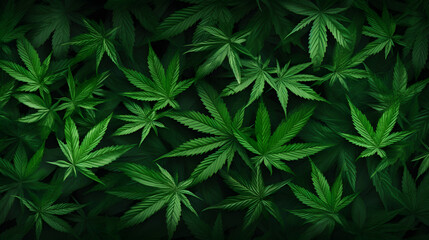 cannabis wallpaper, wallpaper cannabis theme, weed theme wallpaper