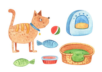 Set of pets goods, accessories for cat.Couch, huts, food, bowl, toys, scratching post, feather, plush fish.Domestic animals shop care, treatment, grooming, entertainment, feeding.Canine, feline stuff