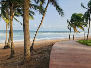 Beautiful beach, coconut trees on the beach