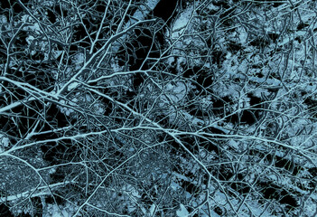 Illustration Of Deep Blue Intertwined Elements On Dark Textured Surface 
