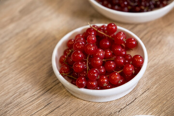 blackcurrant in pot on wooden floor