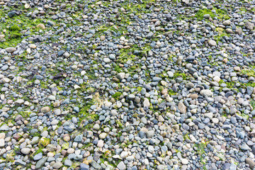 An abstract image of small rocks and seaweed left behind during low tide. 