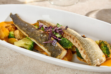 Authentic Seabass Fillet with Vegetables and Carrot Sauce – Natural Still Life in Sunlight and Shadow
