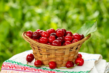 Small basket with cherries close up on an ornament on a background of grass