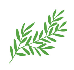 Obraz premium green laurel, olive branch Trendy simple botanical element wild, garden plants, branches, leaves, flowers, herbs. illustration for logo or tattoo, invitation, save the date, card, poster, menu, banner