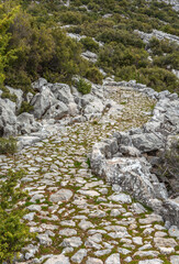 Historical Caravan Migration Route