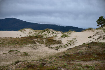 Dunes. Dune system in the Anllóns river estuary, in Ponteceso (A Coruña, Spain). This is a protected area due to its environmental importance
