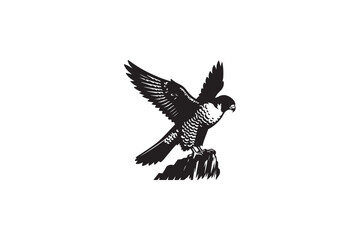 Fototapeta premium Peregrine Falcon silhouette vector style with white background4