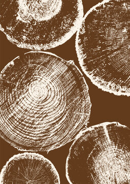 Wood annual rings texture. Template with tree ring pattern. Sections of round tree trunks. Vector image.