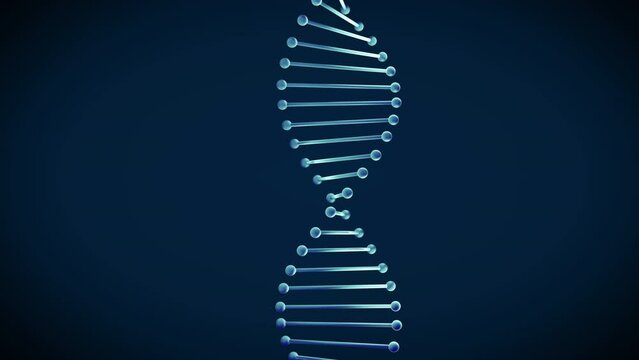 h&eacute;lice de ADN brillante 3D girando sobre su eje