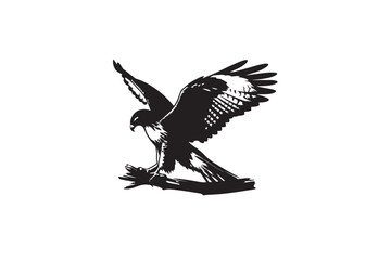 Red-tailed Hawk silhouette vector style with white background1.