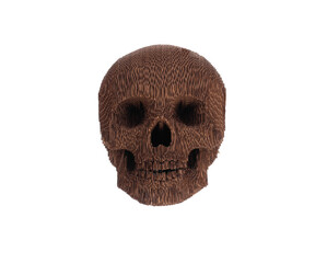 cardboard skull isolated on white background