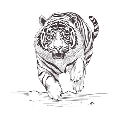 Hand-drawn tiger outline illustration