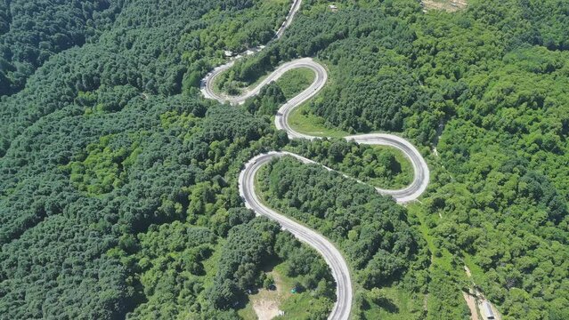 Aerial view of winding asphalt mountain road among green trees in summer.