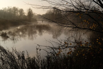 fog on the river