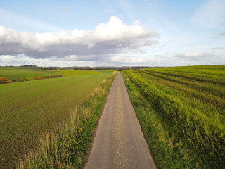 Paved path between agriculture fields 