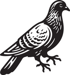 illustration of a dove