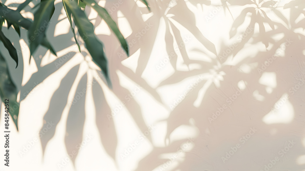 Poster abstract silhouette shadow white background of natural leaves tree branch falling on wall. blurry sh