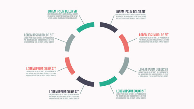 Infographic Animations