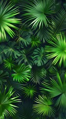 Tropical Palm Leaves Foliage