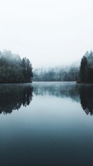 Trees are reflected in the water of a lake in the fog, nature background 