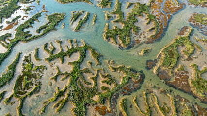 Amazing view of wetland with water channels in countryside