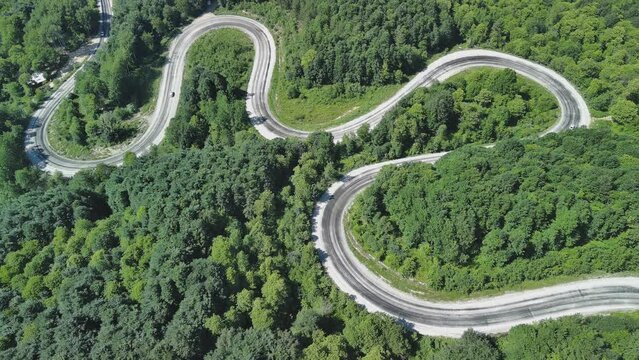 Aerial view of winding asphalt mountain road among green trees in summer.