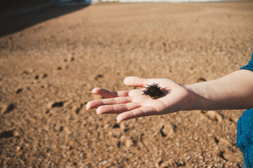 ocean waves by the beach