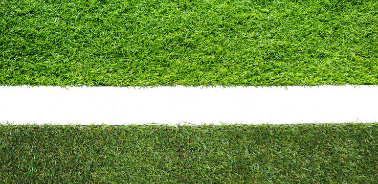 Meadow green grass surface. Turf blank top view background isolated on white. Template or Banner for gardening shop or online shopping, environmental concept