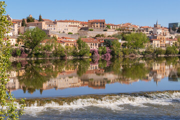 Fototapeta premium Blick auf die Altstadt von Zamaro und den Fluss Duero in Castilla y Leon, Spanien auf dem Pilgerweg Via de la Plata von Sevilla nach Santiago