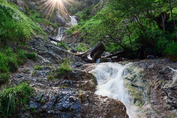 A small waterfall in the forest on a river between green trees. Natural summer background