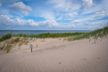 Dune grass on the beach of the Baltic Sea