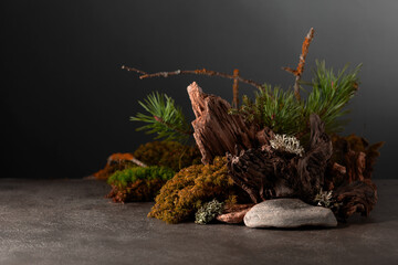 Northern natural composition with lichen, moss, pine branches and driftwood.