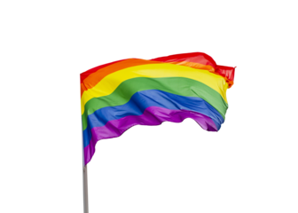 Rainbow LGBT Pride flag cut out