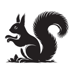 Squirrel vector silhouette