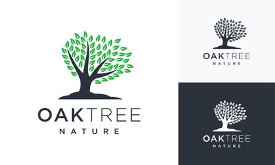 Obraz premium Nature tree vector illustration logo design.