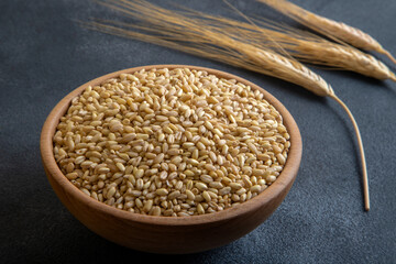 Wheat grains in wooden bowl and ears on gray background
