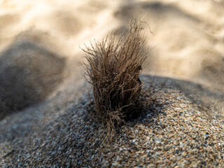 different and beautiful creative, original and unique photographs