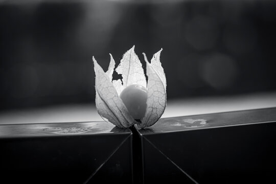 different and beautiful creative, original and unique photographs