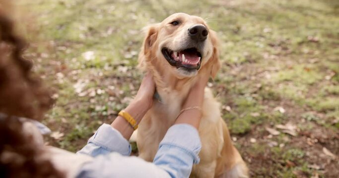 Outdoor, dog and hands of person to stroke, playful and bonding together as friends. Nature, pet owner and golden retriever for walking, training and fun with animal companion with leash in park