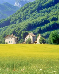 Obraz premium Beautiful Provence