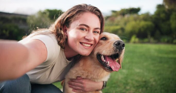 Social Media Dog Images – Browse 22,409 Stock Photos, Vectors, and ...