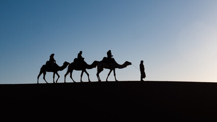 Sahara desert